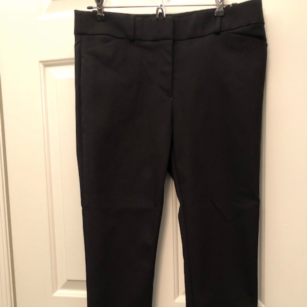 Loft Skinny Ankle Pants (Marisa)